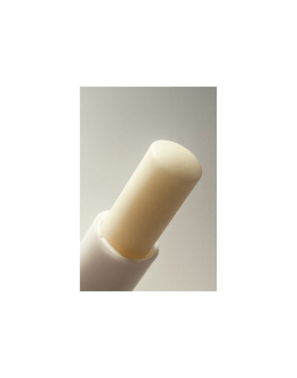 Enecta Lip Balm with CBD Cannabidiol - 50mg container soft lips