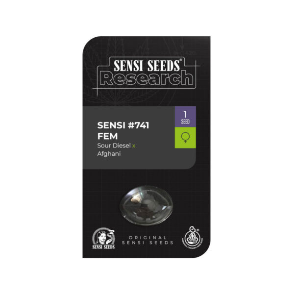 Sensi Seeds Θηλυκοί σπόροι κάνναβης 1 τεμάχιο - Sour Diesel X Afgani σπόρος