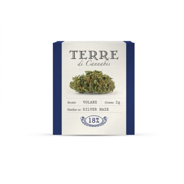 Ανθοί κάνναβης με CBD Terre Di Cannabis ιταλικής προέλευσης με κανναβιδιόλη.
