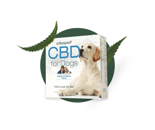 Pet CBD capsules at hempoilshop.gr