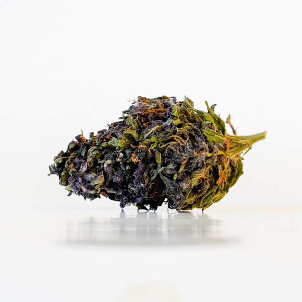 Canna-X Cannabis Flowers Purple Gelato Premium Series – 2gr. Bud Photo of 30% Cannabidiol CBD.