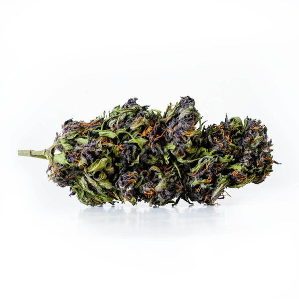 Canna-X Cannabis Flowers Purple Gelato Premium Series of 2 grams premium brand cbd.