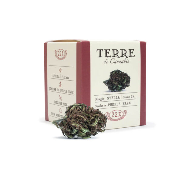Terre Di Cannabis Stella - 2gr. - bud's package - 2