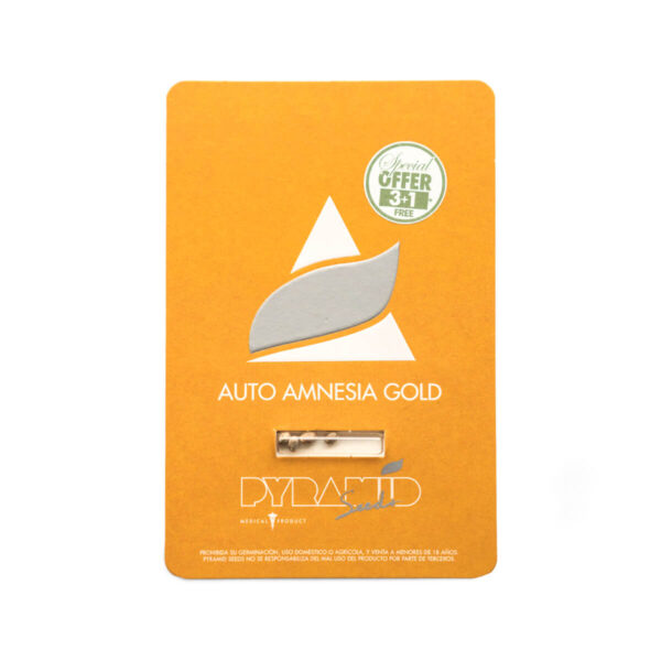 Pyramid Seeds | Αυτόματοι Σπόροι Κάνναβης – Auto Amnesia Gold – 3+1τεμ - φωτογραφία συσκευασίας