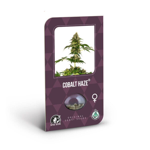 Sensi Seeds | Feminized Seeds - Cobalt Haze Cannabis Seeds.