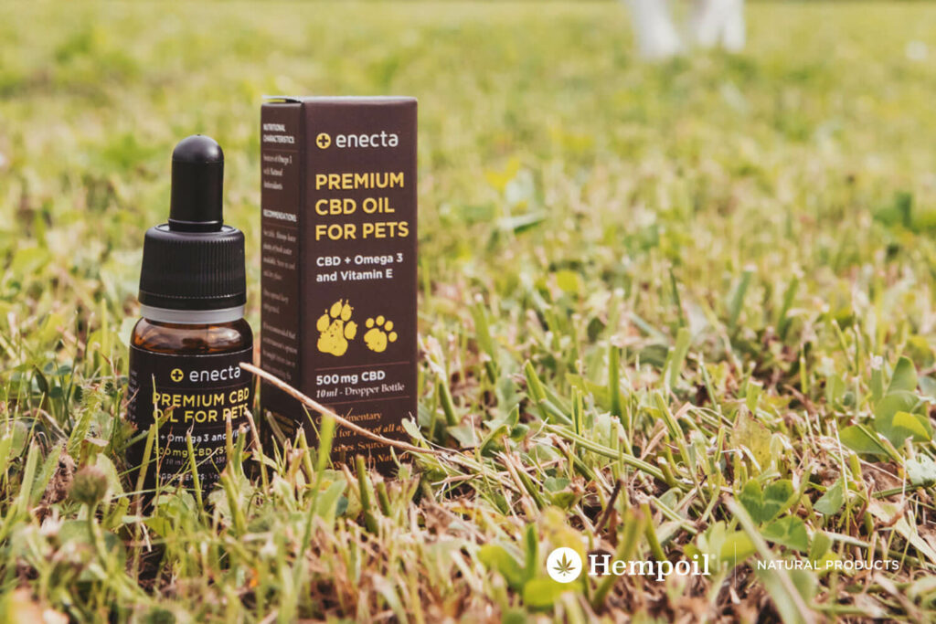 Enecta CBD oil, CBD for pets, dogs, cats