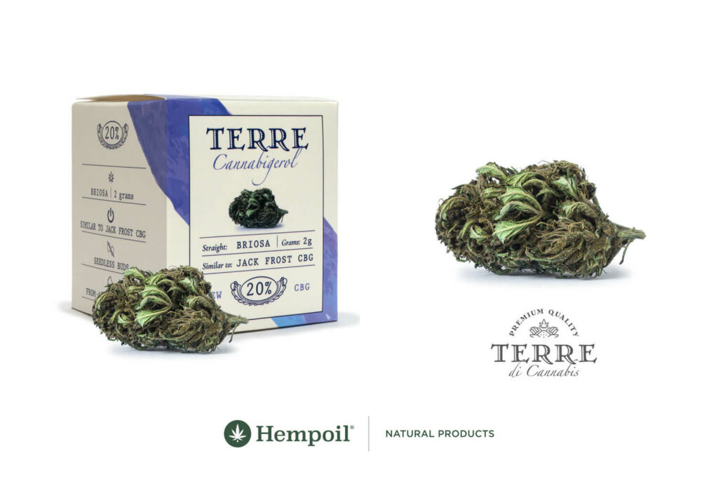 CBG cannabigerol cannabis flowers by Terre Di Cannabis